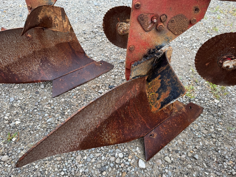 Used Massey Ferguson 43 plow for sale at Baker & Sons Equipment in Ohio