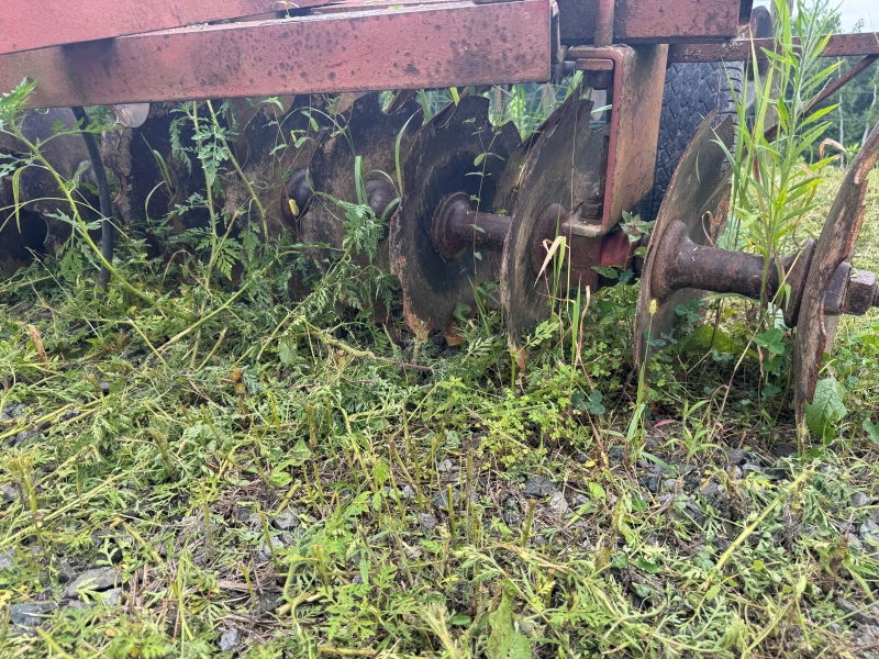 Used International Harvester 37 disc at Baker & Sons Equipment in Ohio